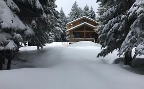 Uludag Orman Koskleri